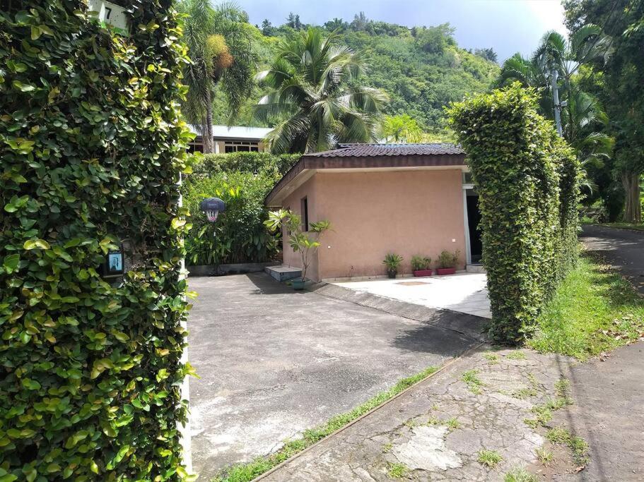 Vacation House In Tahiti プナアウィア エクステリア 写真